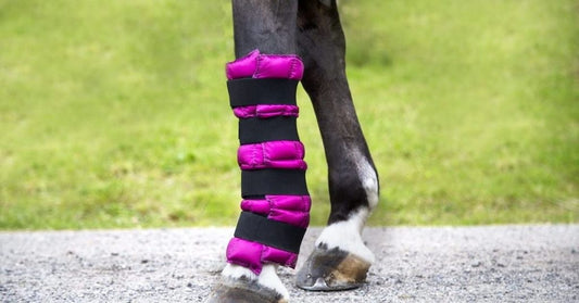 What makes for a good ice pack for your horse to relieve their pain?